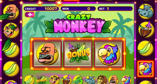 Crazy Monkey Slot Image